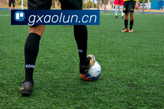 App Interface Preview